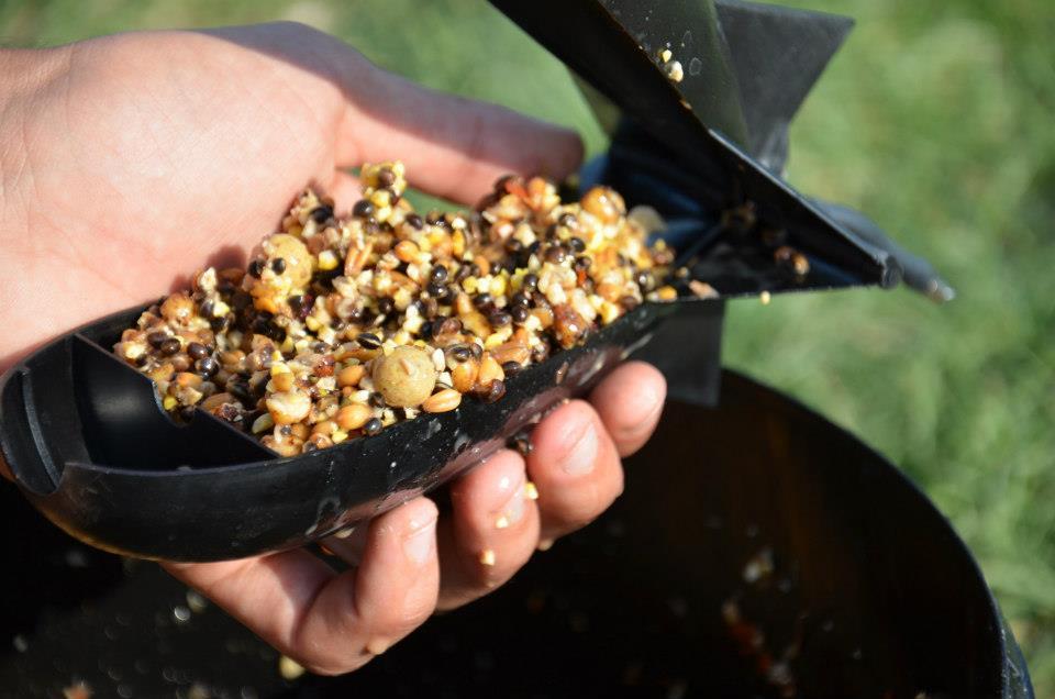 tehnici de pescuit la crap - 44825.jpg